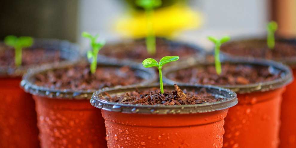 Copy of Çocuklarda sorumluluk bilinci nasıl gelişir_